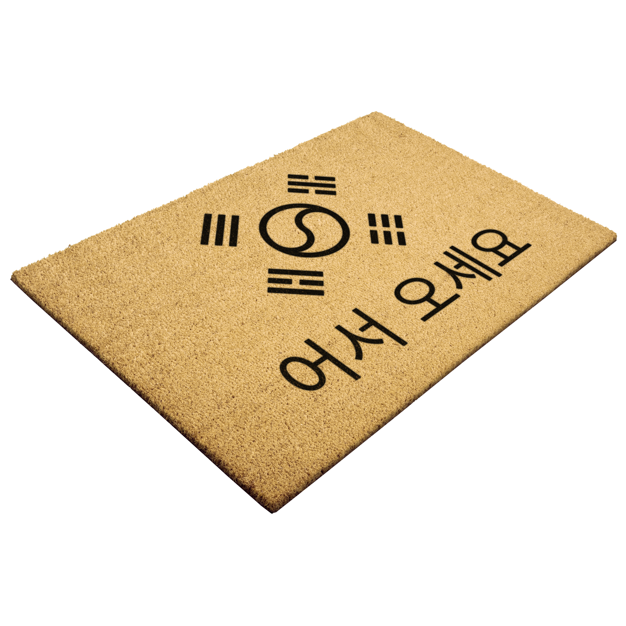 South_Korea_Welcome_Doormat_Welcome_Outdoor_Mat_Angle_Mockup.png_5812948